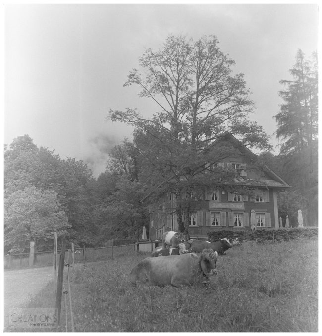 Ballenberg 731