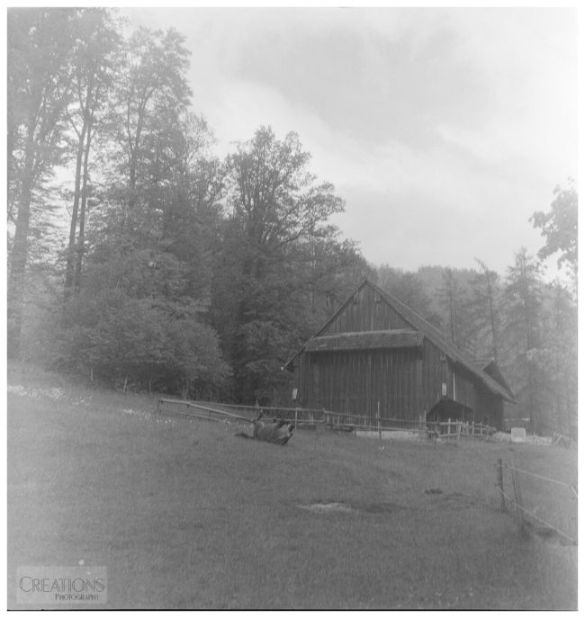 Ballenberg 752